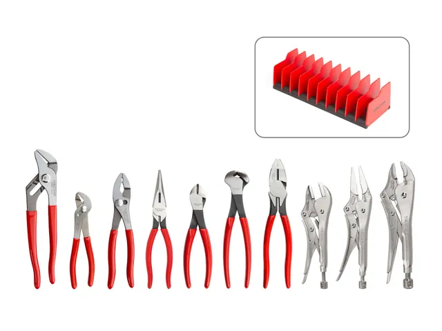 tekton-plr99202-gripping-cutting-and-locking-pliers-set-10-piece-with-organizer- image 1