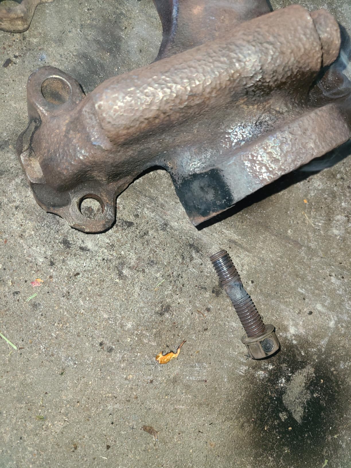 Professional shop staple